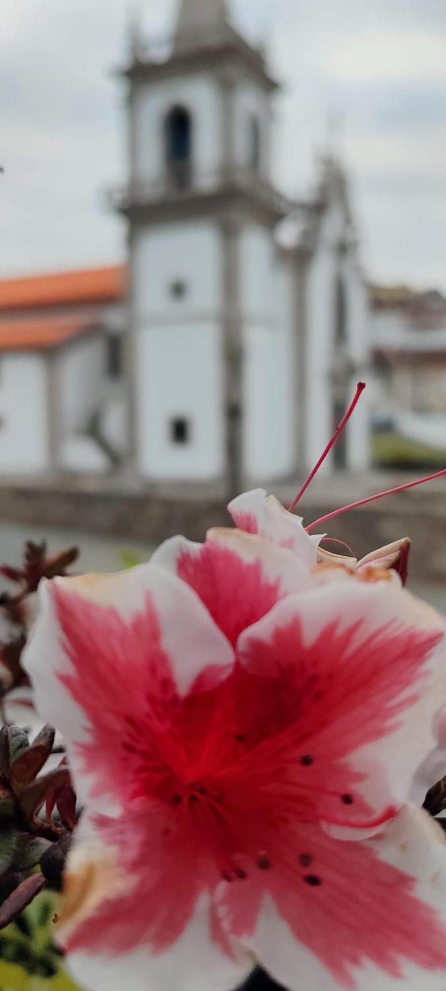 Donna Nega Alojamento Local Caminha Exteriör bild